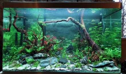 aquarium Osaka 269l