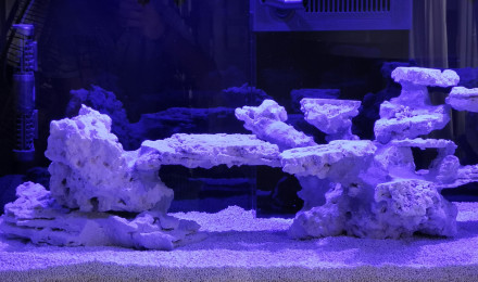 aquarium Red sea reffer 350 v3