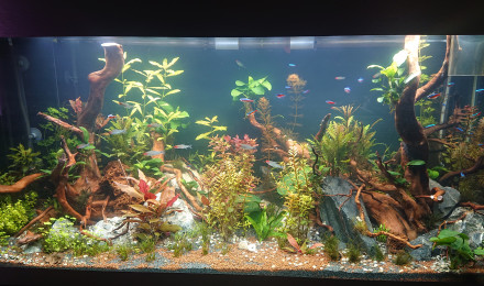 aquarium Oase 300