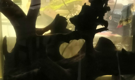 aquarium Lido 120