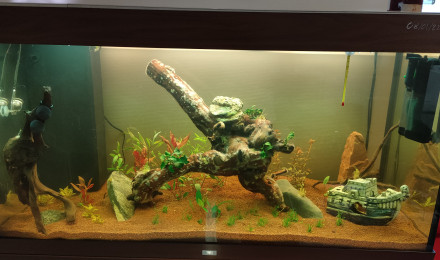 aquarium Juwel Rio 300