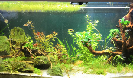 aquarium Aquael Optiset 240 240Litres