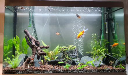 aquarium Chloé Wolrd