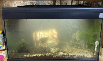 aquarium Nouveau départ