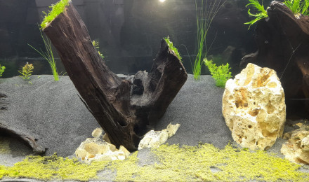 aquarium 600L