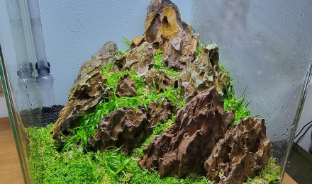 aquarium Hardscape 30l