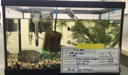 aquarium Equipe3 aquarium 2