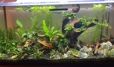 aquarium Le grand