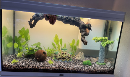 aquarium Grand