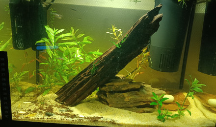 aquarium Bac Yellow Néon 30L