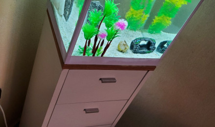 aquarium Aquarium meuble