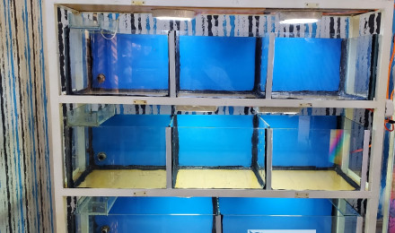 aquarium Rack aquarium shop