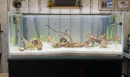 aquarium Premier bac