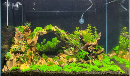 aquarium 96L bac 2