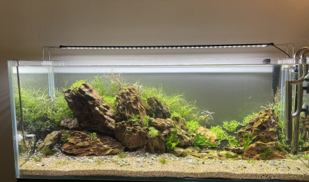 aquarium Cuve nue 160