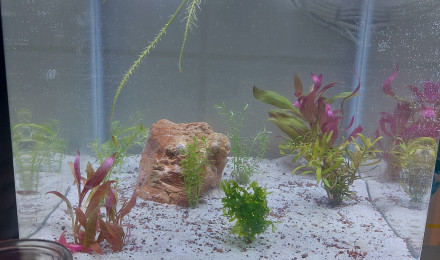 aquarium Aquatest sol maison