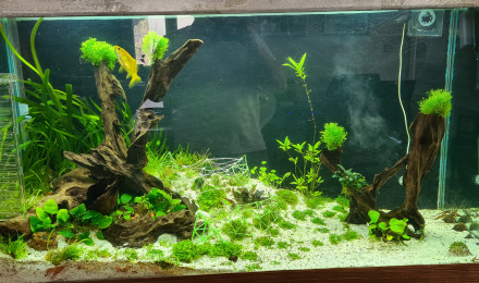 aquarium Le Gros