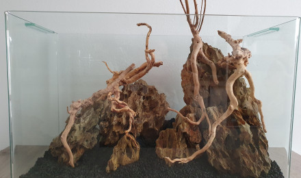 aquarium Blue velvet