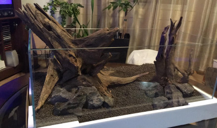 aquarium Nouveau Projet