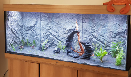 aquarium aquarium 3