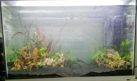 aquarium La Bête hardscape