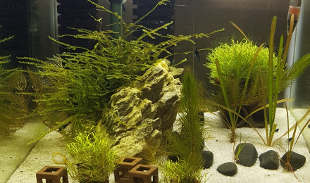 aquarium Nano 30 l