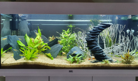 aquarium JUWEL RIO180