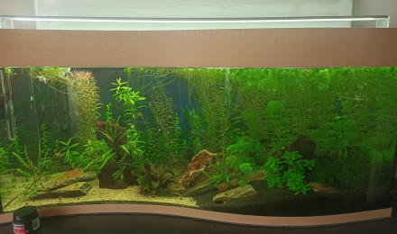 aquarium Aquarium Cap Horn 218L