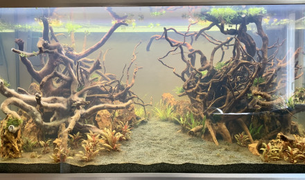 aquarium Eheim Proxima 250