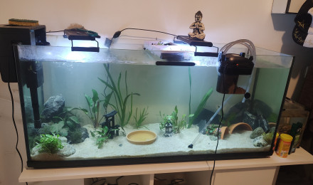 aquarium The Big One