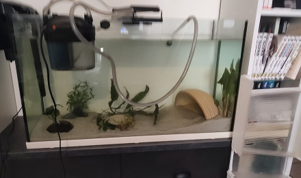 aquarium Aquariotheque