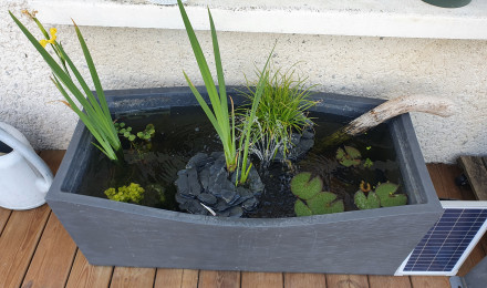 aquarium Poubellarium