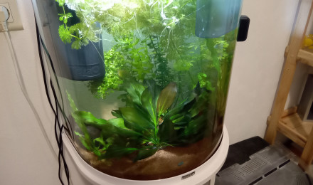 aquarium ARCHIVE - Tetra AquaArt 60L