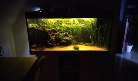 aquarium Juwel Rio 350L