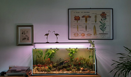 aquarium La rivière enchantée