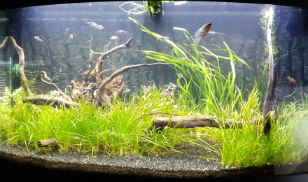 aquarium 180L