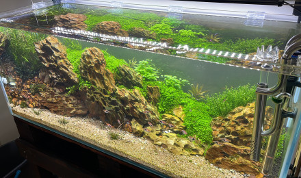 aquarium Cuve nue 160