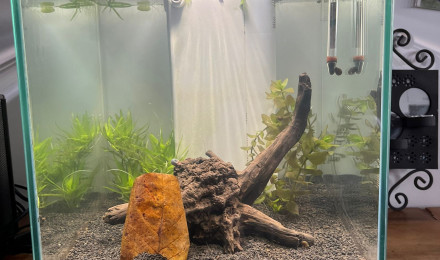 aquarium Nano 40L