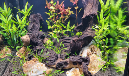 aquarium Aqua Tower 163 Pro