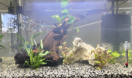 aquarium Home