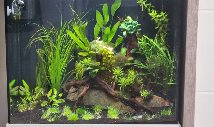 aquarium Aqua 130l