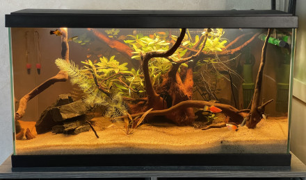 aquarium 60L Ciano