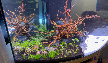 aquarium Rena 350 angle