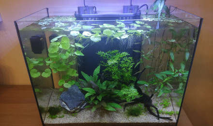aquarium zolux idro 50