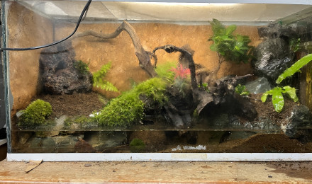 aquarium PALUDARIUM