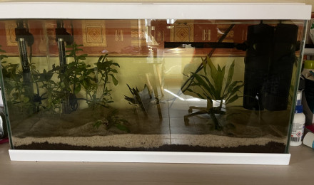 aquarium Ciano 60L - En Conditionnement