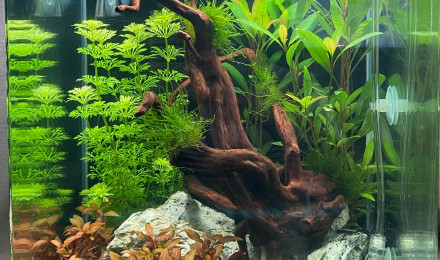 aquarium Nano 30L