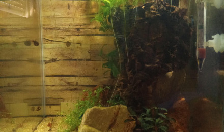 aquarium Bureau