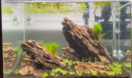aquarium Denerle 70L