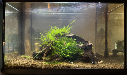 aquarium TAIWAN  BEE